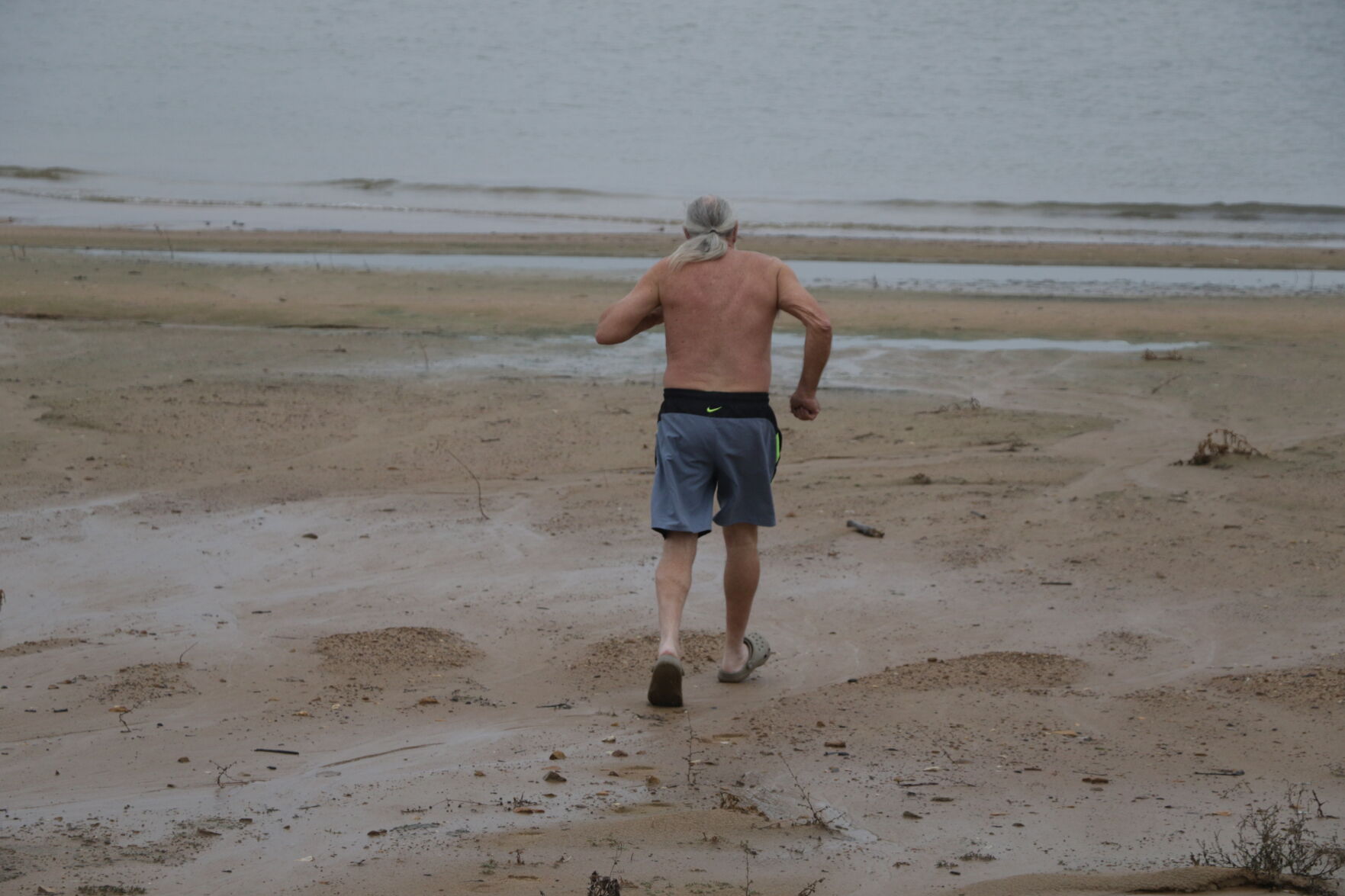 Polar Plunge